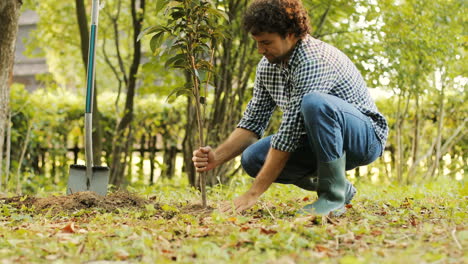 Closeup.-Portrait-of-a-farmer-planting-a-tree.-He-presses-the-soil,-then-smiles.-Blurred-background
